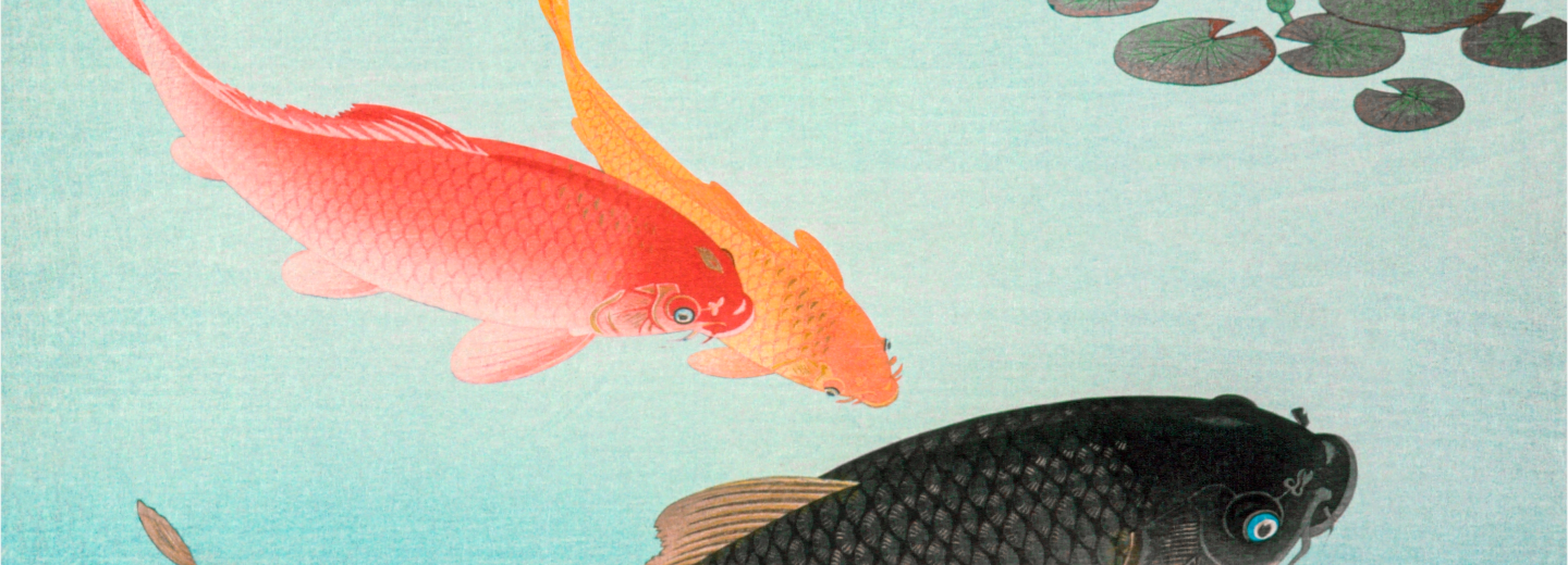 Drawing of Fish
